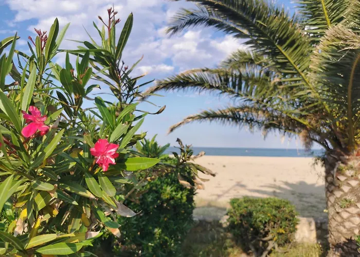 Le Pre Catalan - Piscine En Saison - En Bord De Mer - Acces Animations - Commerce -Plage