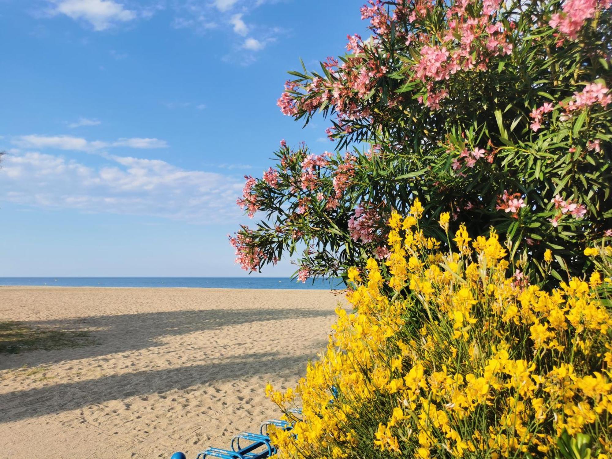 Appartement Le Pre Catalan - Piscine En Saison - En Bord De - Acces Animations - Commerce -plage Argelès-sur-Mer